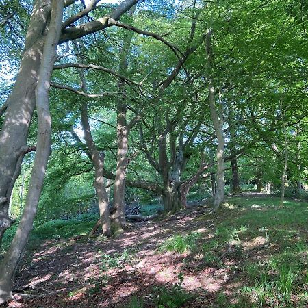 5 Charlton Mill Way B&B Chichester Dış mekan fotoğraf