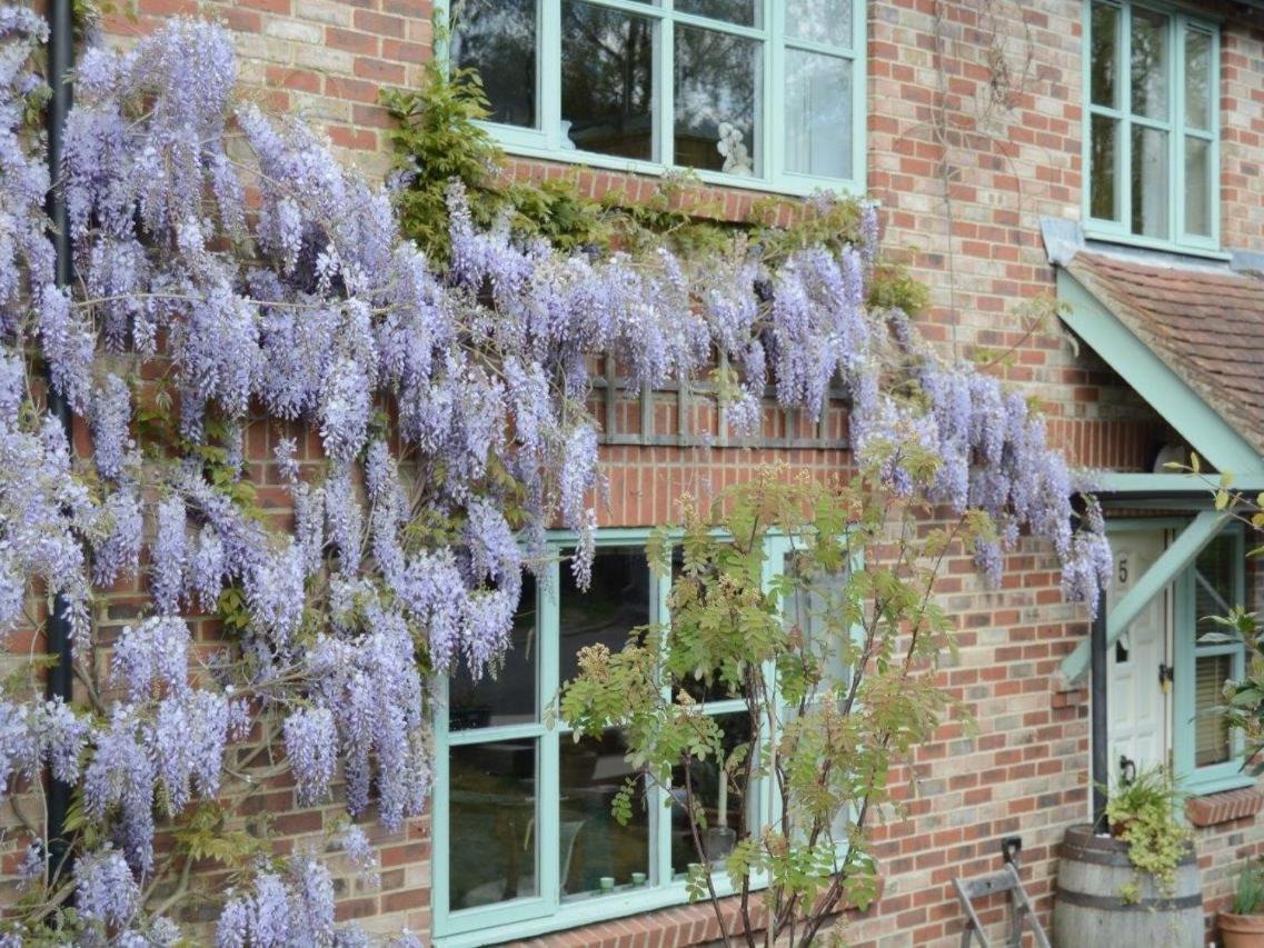 5 Charlton Mill Way B&B Chichester Dış mekan fotoğraf