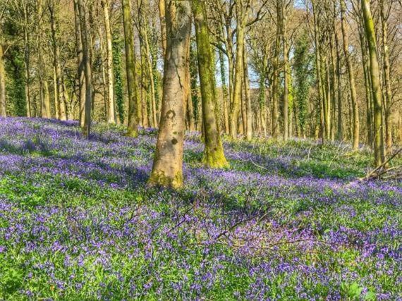 5 Charlton Mill Way B&B Chichester Dış mekan fotoğraf