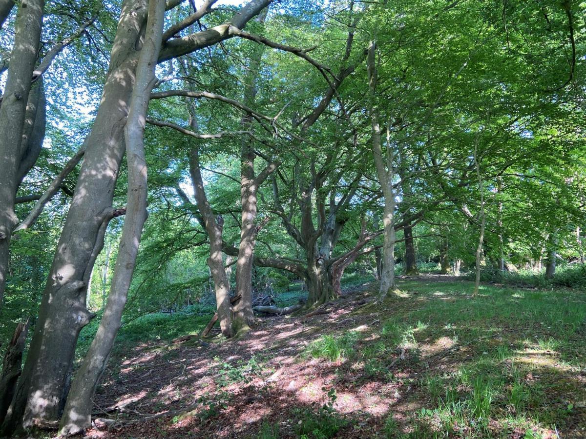 5 Charlton Mill Way B&B Chichester Dış mekan fotoğraf