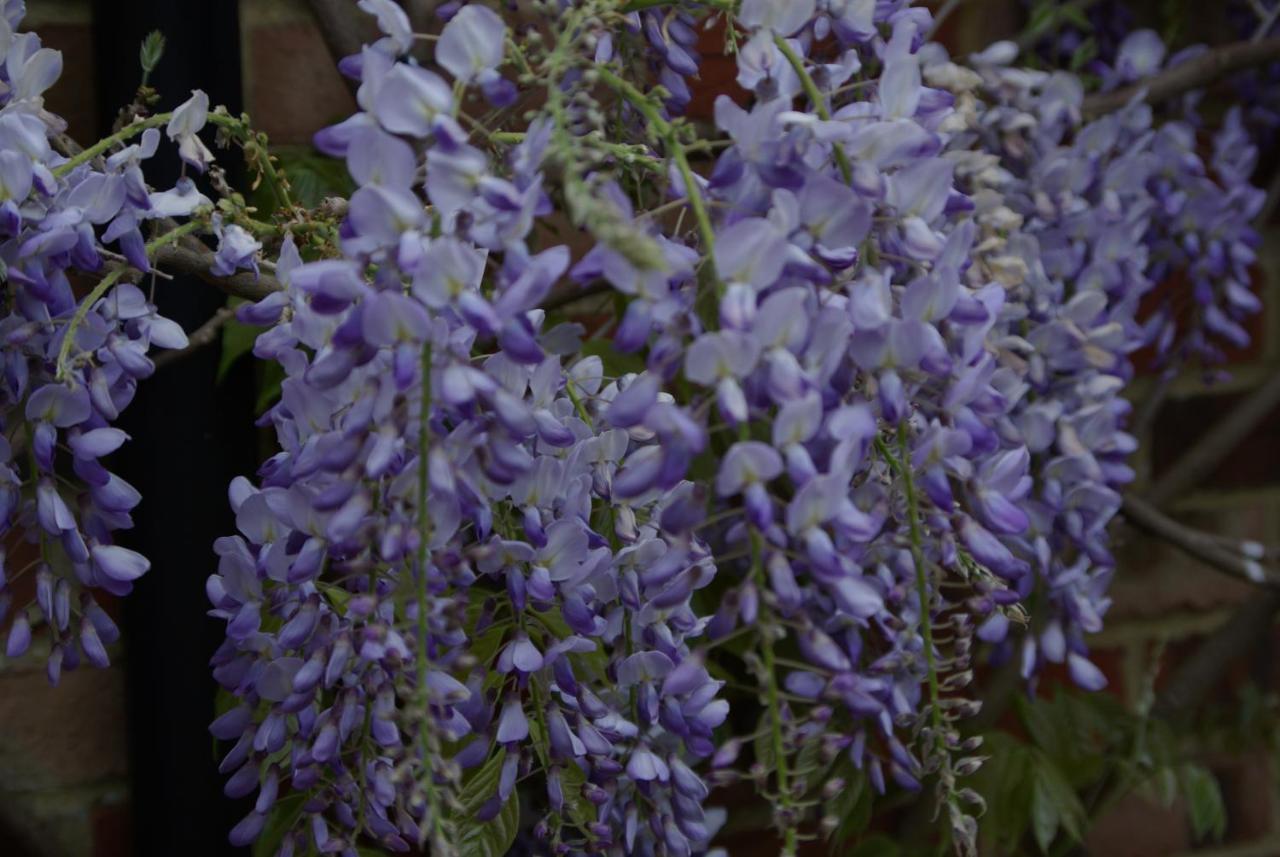 5 Charlton Mill Way B&B Chichester Dış mekan fotoğraf